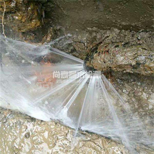 容城消防管道漏水检测